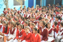 Mother-language-day-1