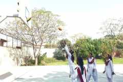 IMG-20231115-WA0017